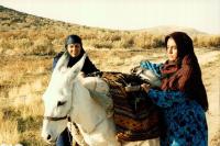 نمایی از فیلم