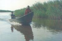 نمایی از محمدرضا فروتن و میترا حجار در فیلم