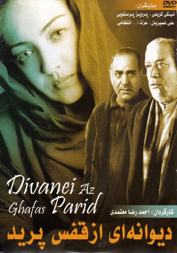 دیوانه ای از قفس پرید